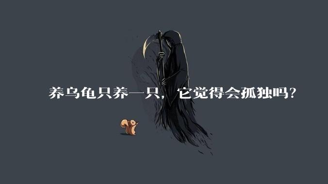 养乌龟只养一只，它觉得会孤独吗？