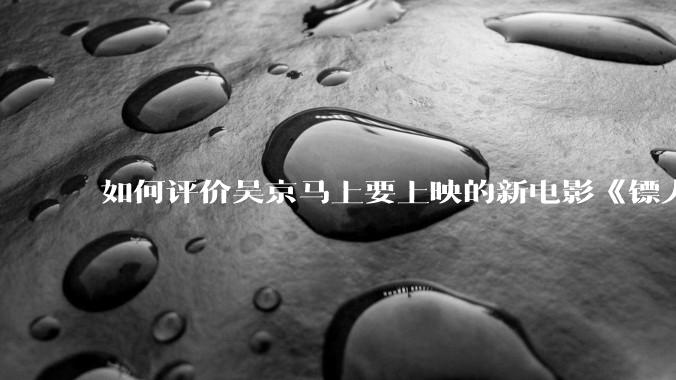 如何评价吴京马上要上映的新电影《镖人》？