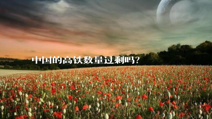 中国的高铁数量过剩吗？