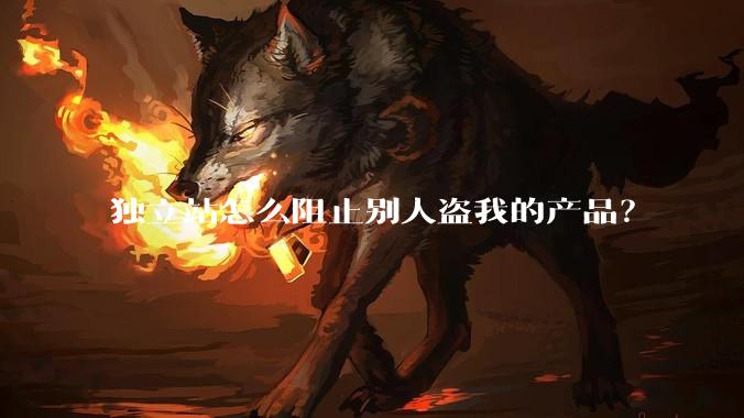 独立站怎么阻止别人盗我的产品？