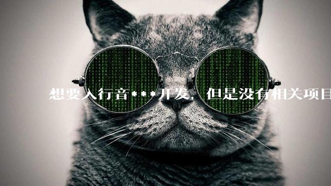想要入行音***开发，但是没有相关项目经验怎么办？