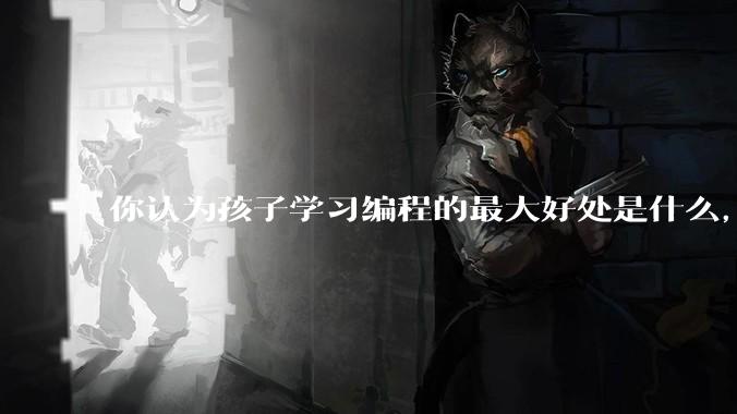 你认为孩子学习编程的最大好处是什么，等级考试有用吗?